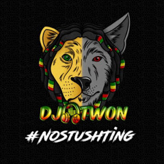 DJ-TWON #NoStushTing