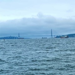 Sergey  Suvorov Diputs