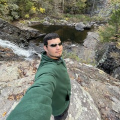 Psychedelic Hedonist