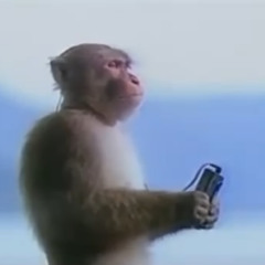 舌鼓