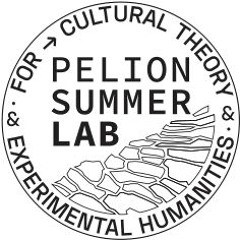 Pelion Summer Lab