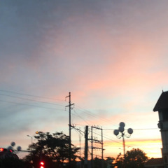vịt
