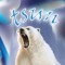 tsun [SUBTERRA] 🐻‍❄️
