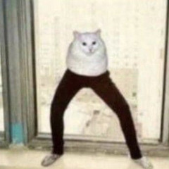 J4Y