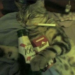 bublik4206