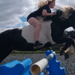 Ilovemymanandmyhorses 🩵💚💕