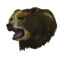 Smoking bear