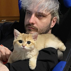 pipipipi