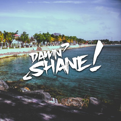 DΛMN SHANE🔥’s avatar