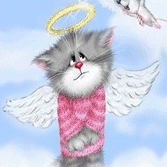 льоха баунте#333