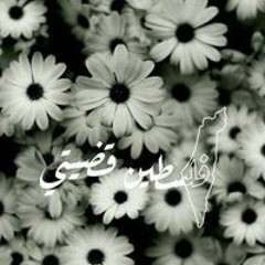 Esraa Reda