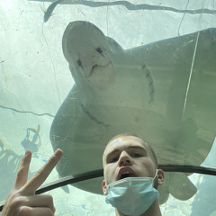Nick Goerner