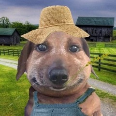Tomik