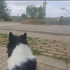 TujOtek “skO” tek