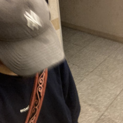 Bilgwn