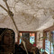 botticelli's painting
