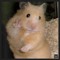 hamsterdam