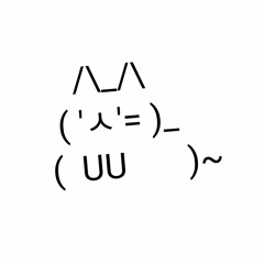 공냥이