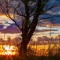 Stephens_Audrey
