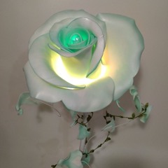 ᎮᏋᏒᏕᏋᎮᏂ🌹ᏁᏋ