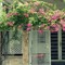 flos