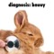 pillowfluf522
