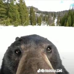 ♧◇♡♤ian♤♡◇♧