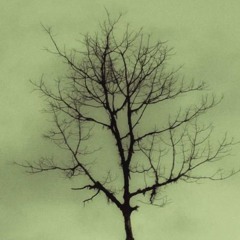 Jah Playlist