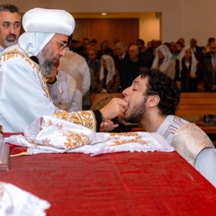 Amir Nour