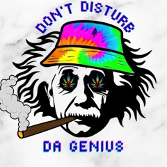 Don't Disturb Da Genius...