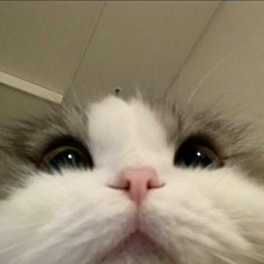 Marksman, Nile, Javdon - Run E grung.mp3