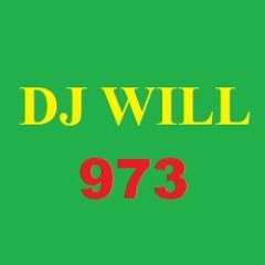 DJ WILL ( kaiser973 )