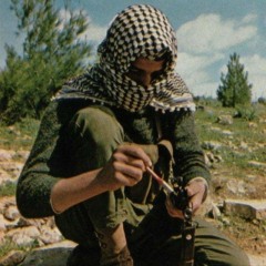 zena 🇵🇸