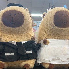 choi nhac ngu nhu cc