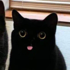 しぐまる🥴
