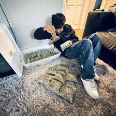 KB.BLUNT$