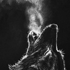 Jr. BlackWolf