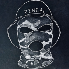 Pineal 80L