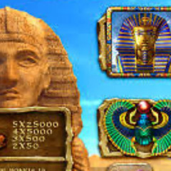 Termi