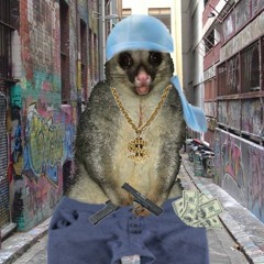 YM Chainz