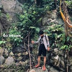 Gio Xanh