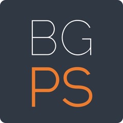 BG Professional Services