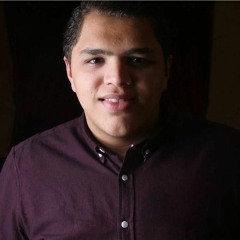 hassan Alshehabi