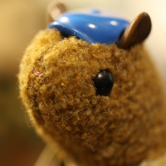 Mr. Squirrel