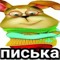 У ЭМЧАШИ И ПАОИТАВЕДИ НИТУ СВАГЕ(((((
