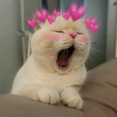 Amoon _