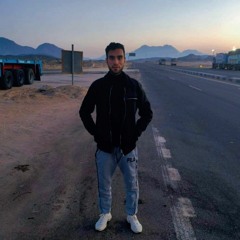 Ahmed Metwally