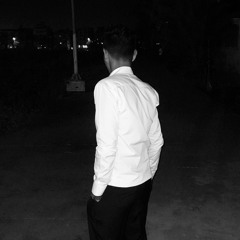 Ahmed Elshamii
