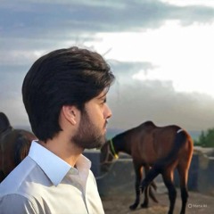 Ali Hassan