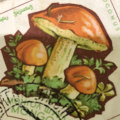 Владислав Быстрицкий